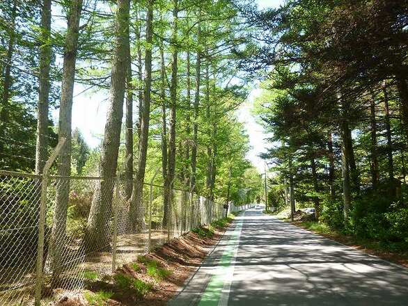 御代田,売買,土地,36,000万円,軽井沢・草津-御代田・小諸・佐久｜別荘