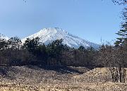 富士急山中湖畔別荘地　富士山と向き合うラグジュアリー大型土地8,441坪