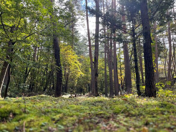 国立公園内の豊潤な自然環境